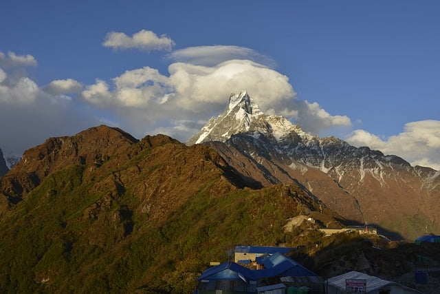 Himalayan Resting Place